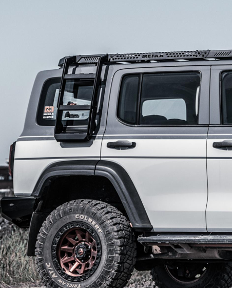 Side angle of GWM Tank 300 side-mount ladder showing sturdy construction and powder-coated finish